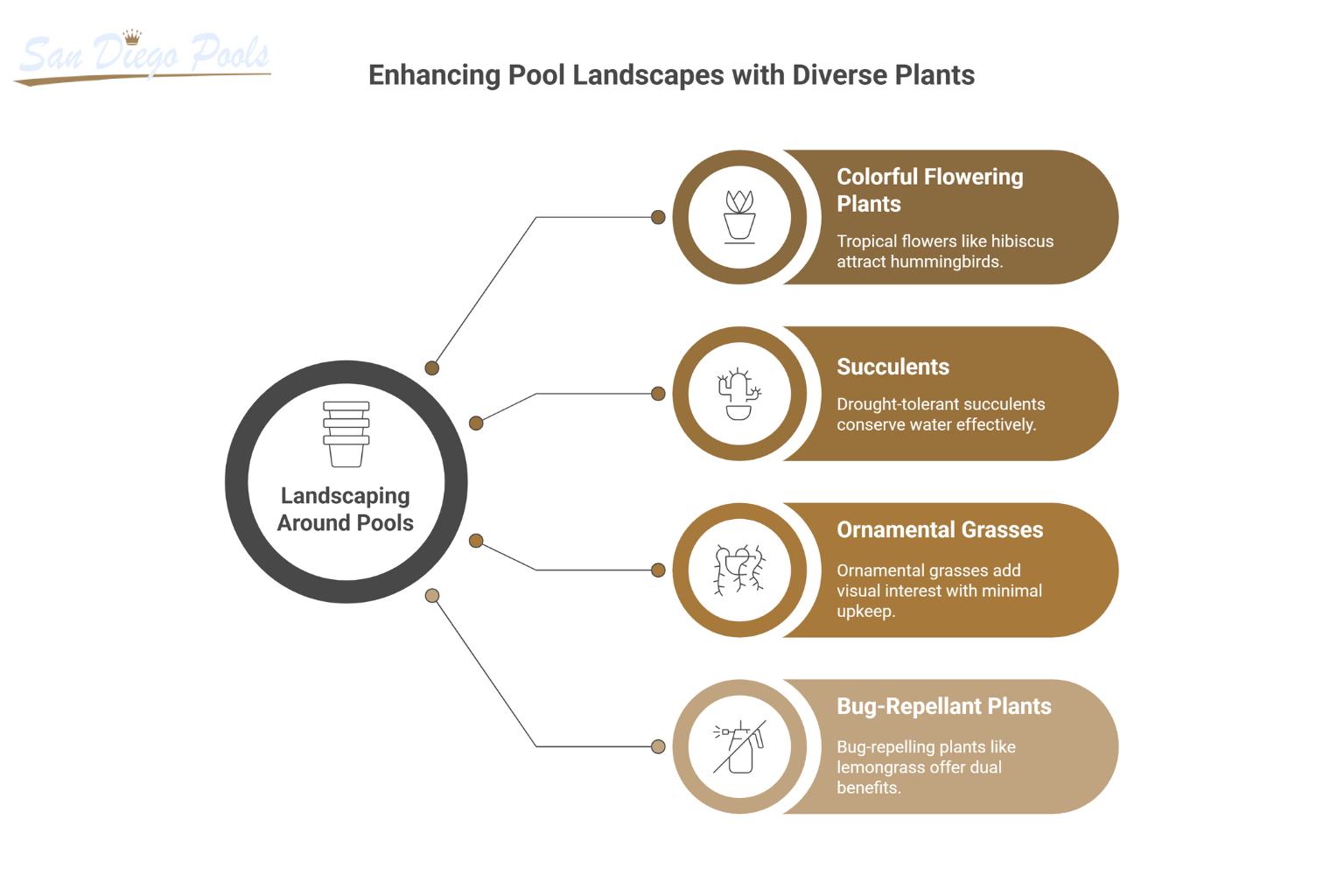 Best Plants to for Landscaping Around a Pool